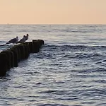 Wakacyjny & Nad Morzem Lägenhet Dziwnów
