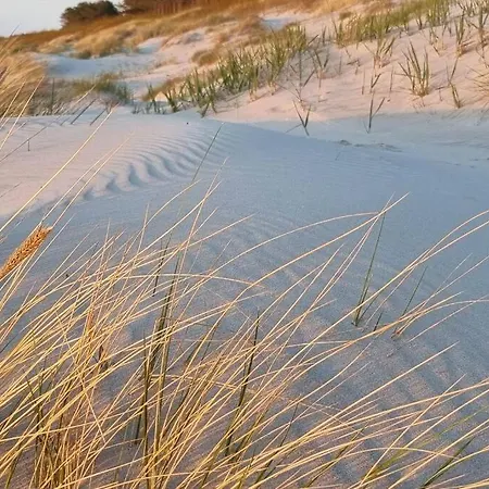 Wakacyjny & Nad Morzem Apartment