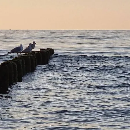 Wakacyjny & Nad Morzem Apartment Dziwnow