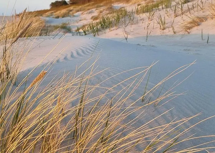 Wakacyjny & Nad Morzem Apartment