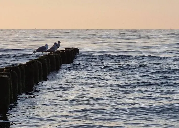 Wakacyjny & Nad Morzem Apartment Dziwnow